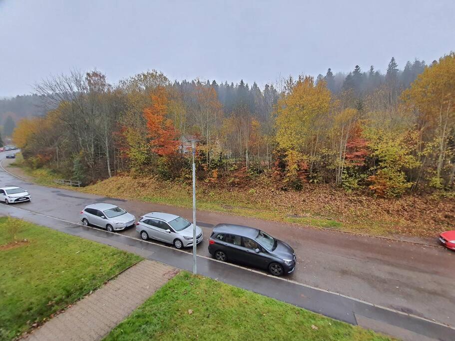 Two-Bedroom Apartment Near Triberg Waterfall Triberg im Schwarzwald Exteriör bild